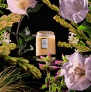 Voluspa Small Jar 50t Jasmine Midnight Blooms thumbnail