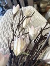 Kvist Magnolia 100cm  thumbnail