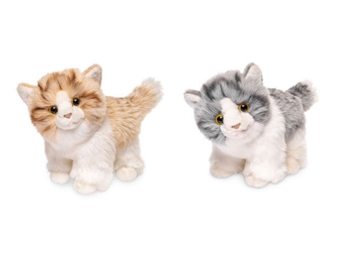 2 små søte katter, en grå og en rød. Kattungene ligger assortert. Si gjerne i fra hvilken du ønsker, så gjør vi vårt beste for å imøtekomme ditt ønske.
