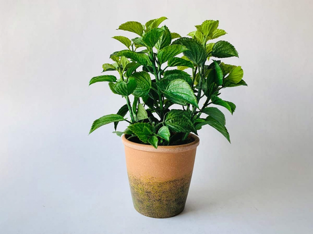 Troverdig potteplante med keramikkpotte fra Trend Design. Måler 33cm i høyden. 